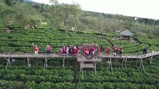 Bukit Kuneer  Wisata Agro Wonosari [upl. by Neelyt]