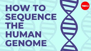 How to sequence the human genome  Mark J Kiel [upl. by Ardnosal]