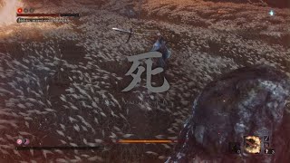 Sekiro Shadows Die Twice Final Boss [upl. by Moshe422]