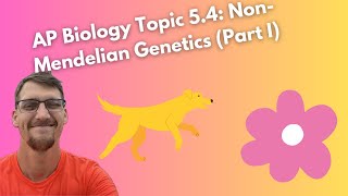 54 NonMendelian Genetics  AP Biology [upl. by Carmine]