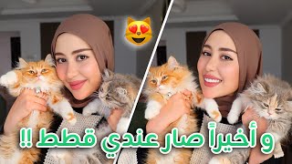 و أخيرا جبت قطط عندي بالبيت  تعالوا اعرفكم عليهم 😻❤️ [upl. by Hausmann]