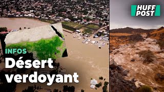 Le Sahara est inondé depuis des semaines et les répercussions sont visibles du ciel [upl. by Aldon]