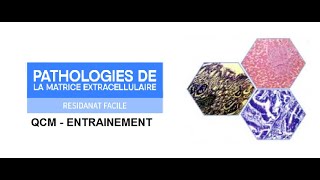 Pathologie de la matrice extracellulaire [upl. by Starlene]