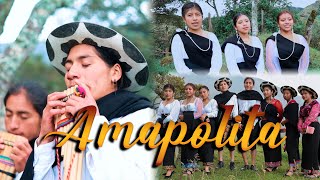 AMAPOLITA  Videoclip Musical [upl. by Doi874]