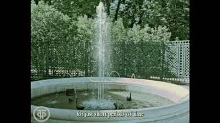 Fountains of Peterhof Stylized as a Soviet documentary television High School Homework 2024 [upl. by Ymaj497]