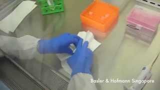 Biosafety BSL2 spill management in biosafety cabinet BSC [upl. by Colombi]