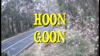 HOON GOON [upl. by Jourdain]