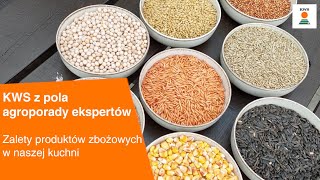 Zalety produktów zbożowych w naszej kuchni  KWS z pola AGROPORADY EKSPERTÓW [upl. by Felic]