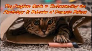 The Complete Guide to Understanding the Psychology amp Behavior of Domestic Cats  Full Research Data [upl. by Hubie]