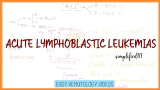 Leukemia diagnosis  Hematologic System Diseases  NCLEXRN  Khan Academy [upl. by Gnod]