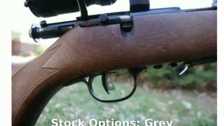 Savage Stevens 310 17 HMR Rifle  Information Tech Details [upl. by Nellac]