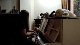 Dolannes Melody  Paul de Senneville Piano Cover [upl. by Komsa]