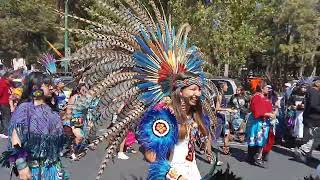 peregrinación de las Danzas en Tlatelolco a la basílica de Guadalupe 2023 [upl. by Yttap]