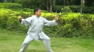 Master Ma Baoguo Hunyuan Xingyi Taiji 26 Form [upl. by Sparky]