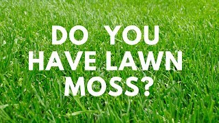 How to Remove Moss from Your Lawn  Moss Out Lawn Granules [upl. by Ahseinat]