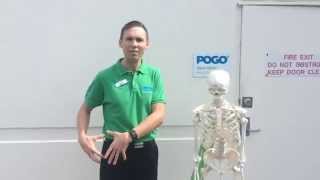 Trochanteric Bursitis Treatment wwwpogophysiocomau [upl. by Feirahs]