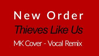 New Order  Thieves Like Us  MK Cover Vocal Remix [upl. by Clawson]