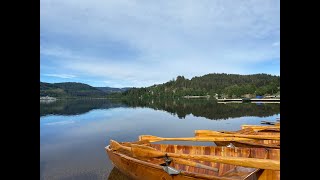 Titisee lake  titiseeneustadt  Black Forest  Badenwürttemberg [upl. by Leventis]