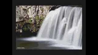 Cinquenta anos sem CARLO BUTI  La fontana delle sireneA fonte da sereia [upl. by Thgirw]