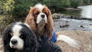 Hiking in Gatineau Park [upl. by Cecilia]