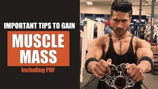 Important Tips to Gain MUSCLE MASS by Guru Mann including PDF [upl. by Neidhardt495]