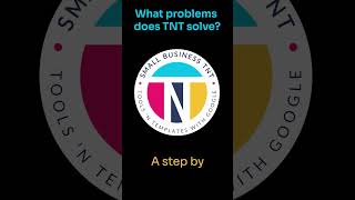 What problems does Small Business TNT solve Testimonial [upl. by Shoshanna610]