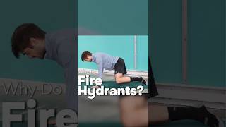 🔥 Why Do The Fire Hydrant Exercise 🔥 [upl. by Yelime329]