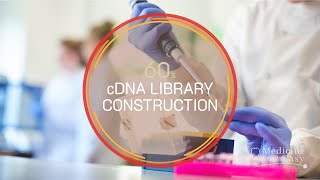 Genetics in 60 seconds cDNA Library Construction [upl. by Nayk]