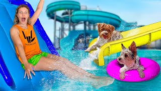 I Built a WATER PARK for my PUPPY [upl. by Luckin]