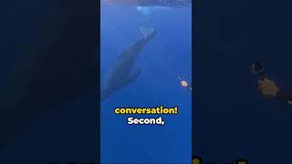 Sperm Whales 3 Shocking Facts You Wont Believe 🐳 [upl. by Ytsirt]