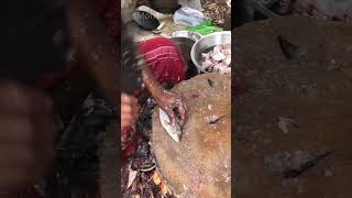 Zebra fish cutting skills fish shorts [upl. by Eseryt]