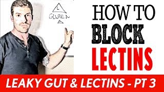 How to Block Lectins  Leaky Gut amp LectinsPt 3 [upl. by Christabel]