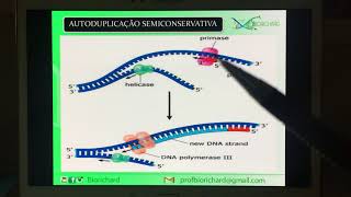 DUPLICAÇÃO DO DNA O QUE É PRIMER  PROF BIORICHARD [upl. by Ester168]