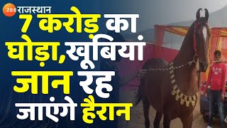 7 करोड़ का घोड़ा देखा क्या आपने। Pushkar Paschu Mela। Pushkar Fair। Rajasthan News । 7 Crore Horse [upl. by Frodine497]