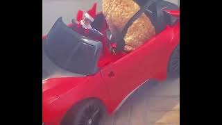 Elf on the self driving a toy car with a dog in it [upl. by Anoif]