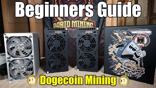 Beginners Guide To Mining DOGECOIN [upl. by Ynoffit]