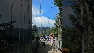 The Zhangjiajie Glass Bridges RecordBreaking Achievements [upl. by Ariam66]