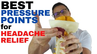 BEST Pressure Points for INSTANT Headache Relief  Dr Jon Saunders  Newmarket Chiropractor [upl. by Llednav]