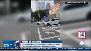 Américas No Ar  310124  Mulher é arrastada por carro para evitar roubo de cachorro nos EUA [upl. by Hakeber]