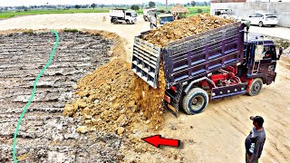 Wonderful teamwork Dump truck pouring soil with Bulldozer KOMATSU D53P Pushing update land at area [upl. by Ihcelek426]