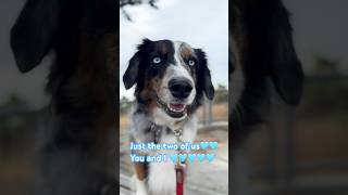 The two of us against the world dog subscribe shorts shortvideo ￼ [upl. by Embry]