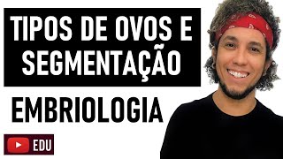 TIPOS DE OVOS E SEGMENTAÇÃO  EMBRIOLOGIA  AULA DE BIOLOGIA [upl. by Wallie]