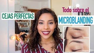 MI EXPERIENCIA CON MICROBLADING  Cejas Perfectas  SORTEO  Mafer Benites [upl. by Icyak904]