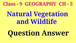 natural vegetation and wildlife class 9 question and answer  class 9 geography ch 5 question answer [upl. by Milzie781]