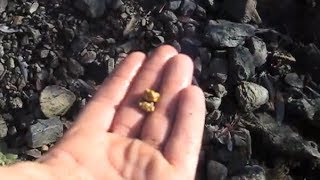 Garrett Infinium finds 14 OZ Gold Nugget in N California [upl. by Ynalem]