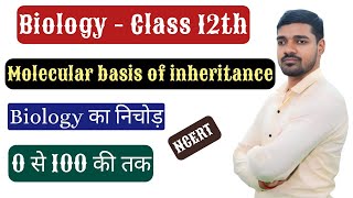 Molecular basis of inheritance L 21 [upl. by Aicena]