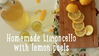 Homemade Limoncello [upl. by Felic]