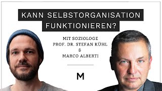 71 Kann Selbstorganisation funktionieren Prof Stefan Kühl [upl. by Dame]