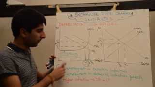 Impact of Exchange Rate Appreciations and Depreciations with Evaluation [upl. by Shugart528]