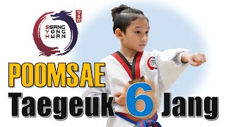 Taekwondo Poomsae 6  Taegeuk 6 Jang  Step by Step [upl. by Niwle634]